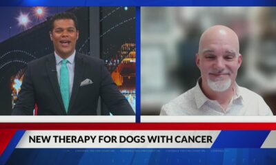 New Therapy for Dogs with Cancer