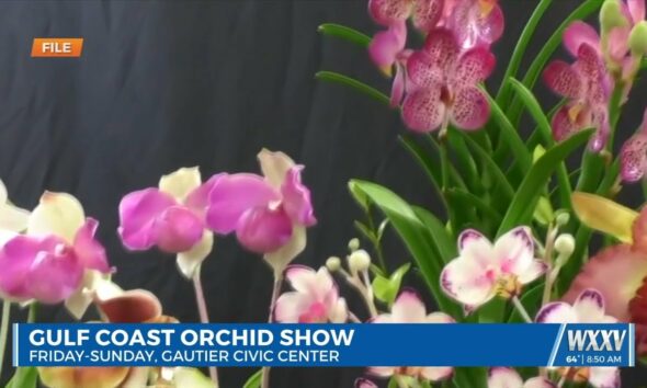 Gulf Coast Orchid Show this weekend