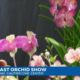 Gulf Coast Orchid Show this weekend