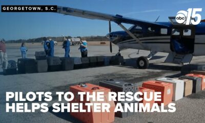 Wings of hope: Shelter animals flown to find homes up north