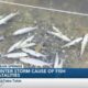 Thousands of dead fish floating in Jackson County bayous a result of unprecedented winter storm