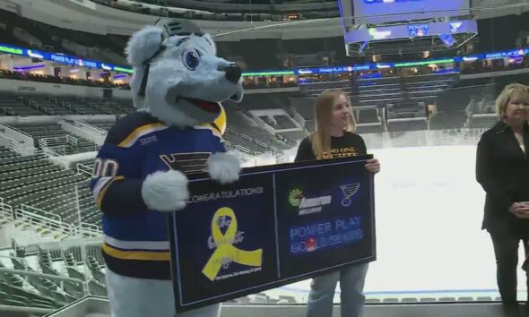 Ameren Power Play Goals for Kids