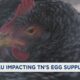 Bird flu impacting Tennessee's egg supply