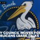 Myrtle Beach City Council moves forward with Pelicans lease talks