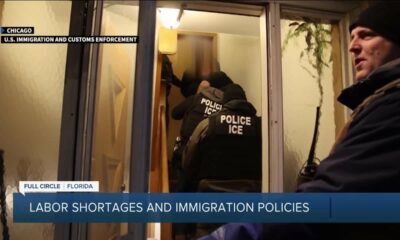 Expert discusses how deportations could cause labor shortages for several industries