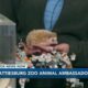 Hattiesburg Zoo welcomes four-toed hedgehogs to the 4 O'Clock Show