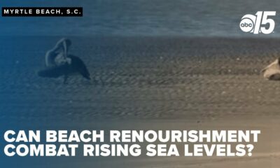 'Buy more time': Can beach renourishment combat rising sea levels?