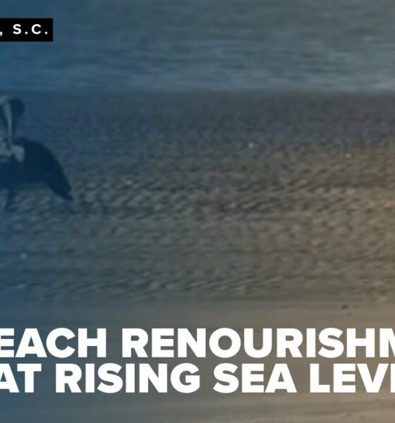 'Buy more time': Can beach renourishment combat rising sea levels?