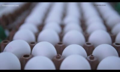 Rising egg prices spark fresh concerns for shoppers