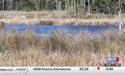 Moss Point middle school launches program to teach students about protecting their environment