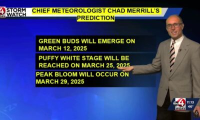 StormWatch 4's Peak Date Forecast for the DC Cherry Blossoms