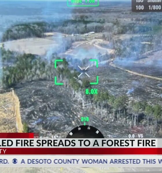 Rankin County forest fire now contained