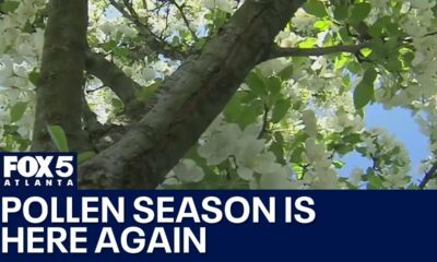 Welcome to pollen season | FOX 5 News