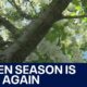 Welcome to pollen season | FOX 5 News