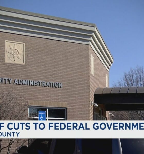 Impact of cuts to the federal government