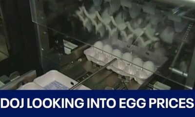 DOJ to investigate egg prices | FOX 7 Austin