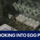 DOJ to investigate egg prices | FOX 7 Austin