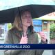 Greenville Zoo looking the future with a five year plan