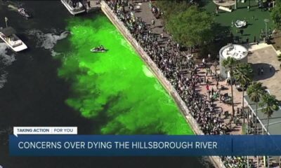 Local organization discusses alternatives to River O' Green Festivals for years to come