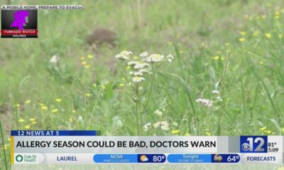 Managing allergies in Mississippi: Early symptoms and treatments