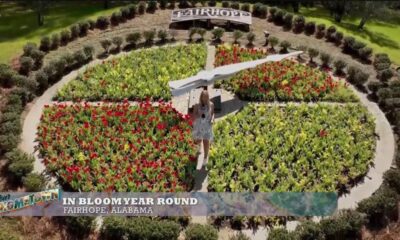 How Fairhope stays beautiful, in full bloom, all year