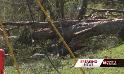 Volunteers step up to help survivors of Mississippi tornado outbreak