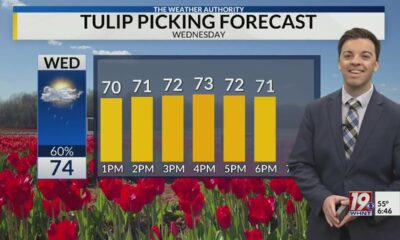 Wednesday Morning Weather - 3/19/25