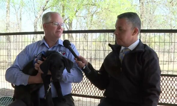 Guide Dogs of Texas celebrates new membership with Metro SA Chamber