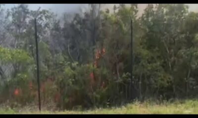 Miami-Dade brush fire now 50% contained, officials say