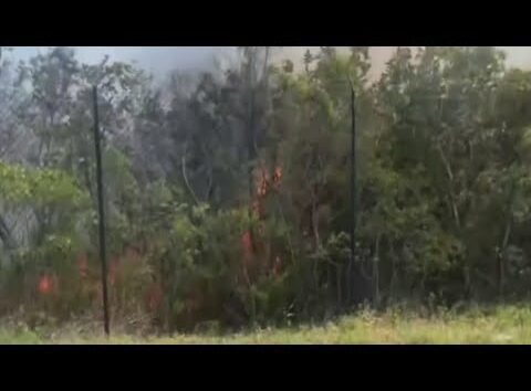 Miami-Dade brush fire now 50% contained, officials say