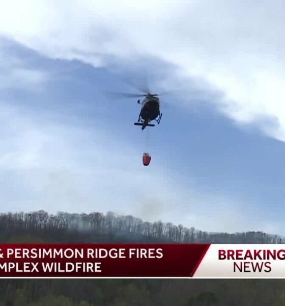 Table Rock & Persimmon Ridge fires now considered a complex wildfire