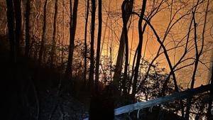 Carolinas wildfires compounded by downed trees from Helene | North Carolina